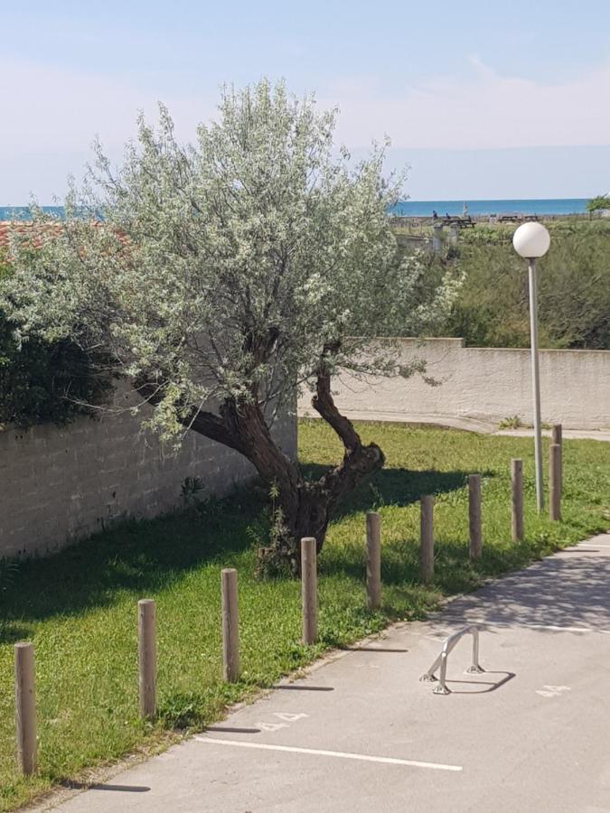La Rose Des Sables, T2 A La Mer, Terrasse Et Garage Frontignan Bagian luar foto
