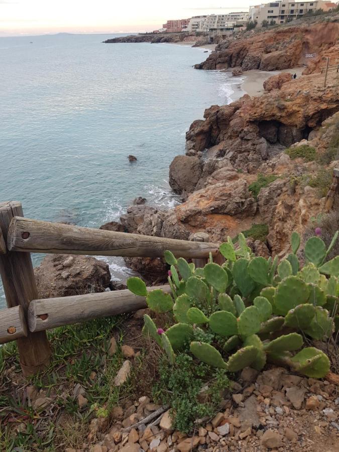 La Rose Des Sables, T2 A La Mer, Terrasse Et Garage Frontignan Bagian luar foto